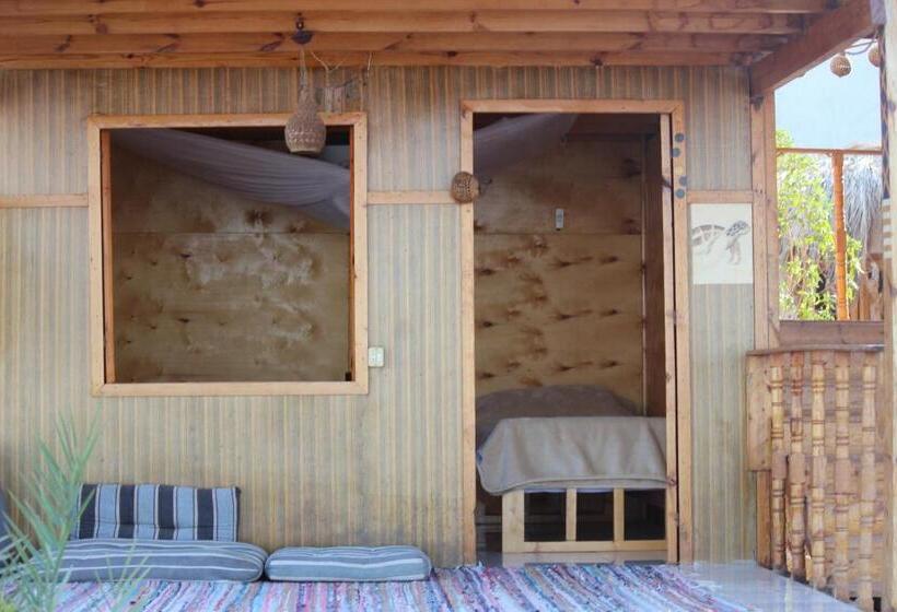 اتاق لوکس با چشم‌انداز دریا, The Bedouin Life With Eid Ali