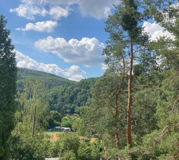 Номер Стандарт, Penzion Cholín