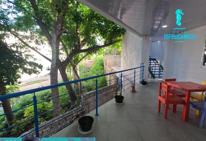 家庭间, Sukha Hippocampus San Andrés Isla