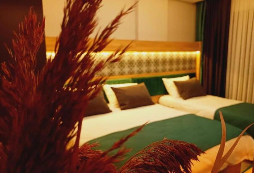 Люкс Повышенной Комфортности, Dinamik Otel Sarıkamış