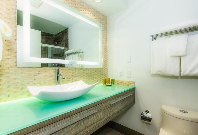 Стандартный Номер Кровать Кинг, Regalia Hotel & Conference Center