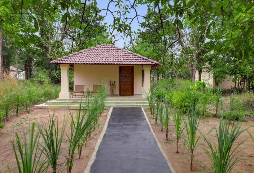 スーペリアキャビン, Lemon Tree Wildlife Resort, Kanha