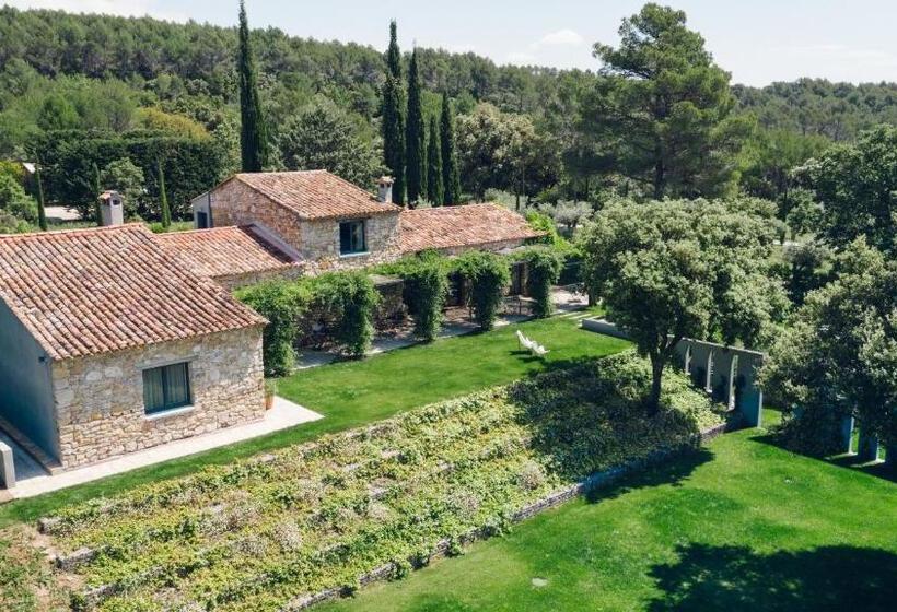 수피리어 스위트, Domaine Monte Verdi