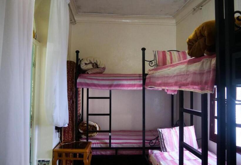共用房间的床, Hostel Aline