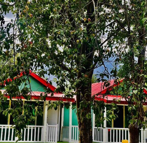 اتاق خانوادگی, The Mountain Cottage Skardu