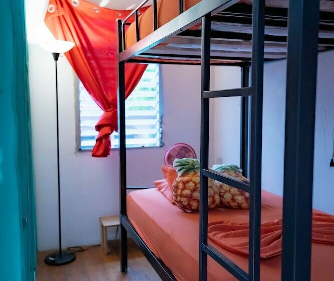 اتاق اکونومی یک تخته, Zebulo Hostel