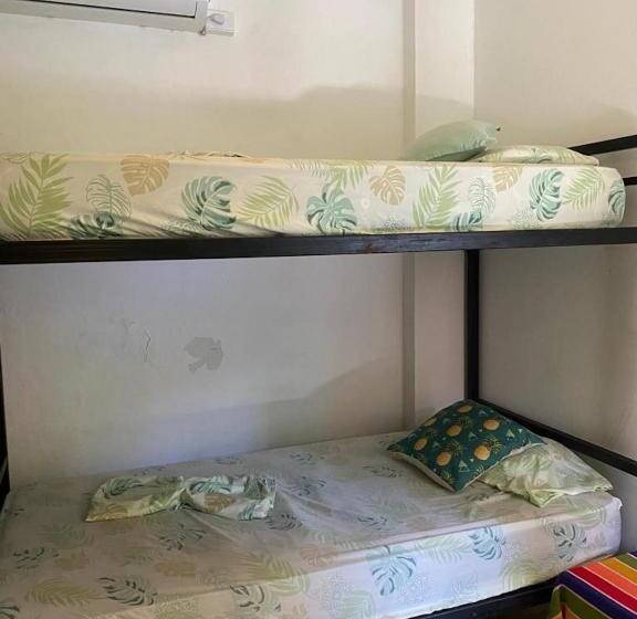 اتاق اکونومی, Zebulo Hostel