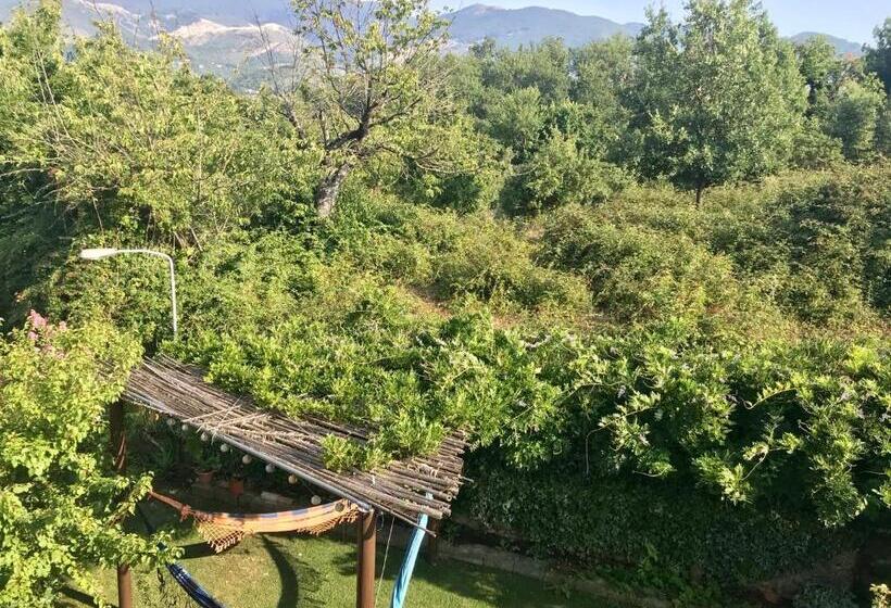 Номер Стандарт Индивидуальный, B&b Da Peppe