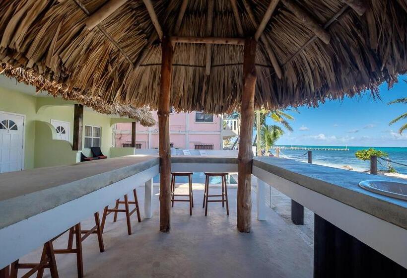 سوئیت با تخت بزرگ, The Palapa House