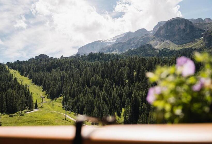 Номер Стандарт Индивидуальный, Laguscei Dolomites Mountain