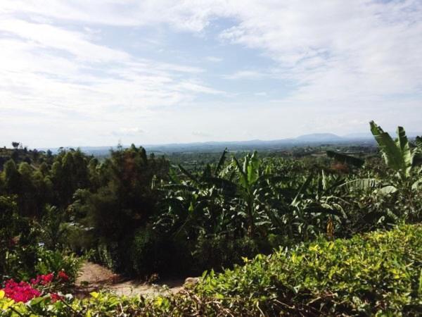 اتاق لوکس با تخت بزرگ, Nyore Hillside Retreat