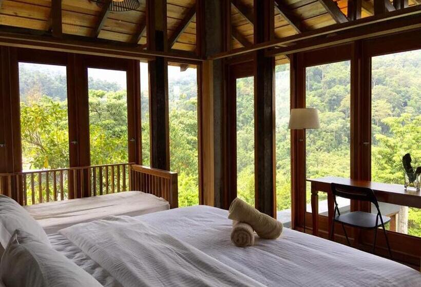 Бунгало Стандарт Вид на Сад, The Shorea