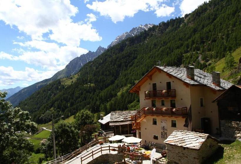 اتاق استاندارد, Alpe Rebelle