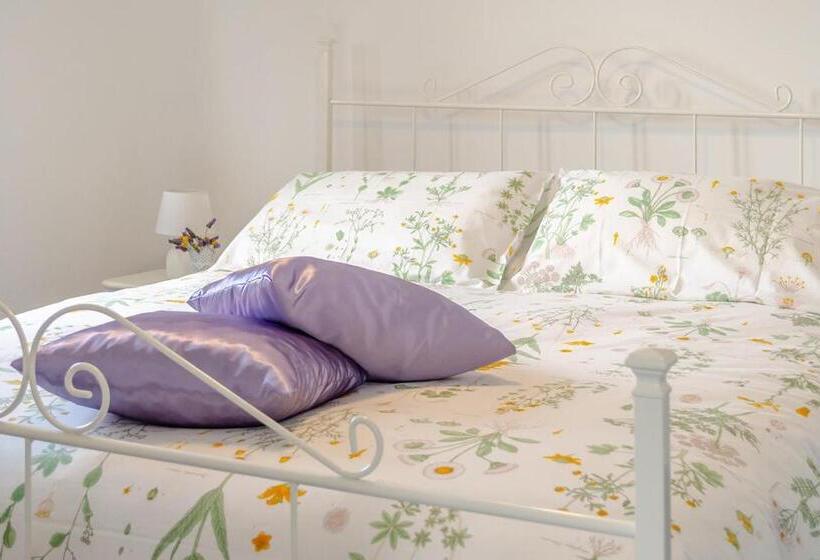 Апартаменты 1 Спальня Вид на Море, Driùs Edodè   B&b Affittacamere