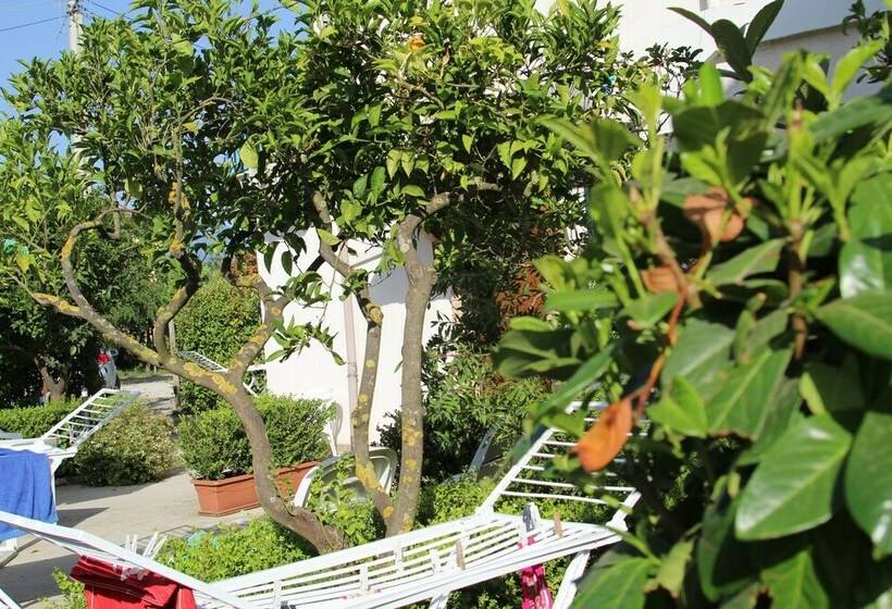 Номер Economy, B&b Country House Il Grappolo