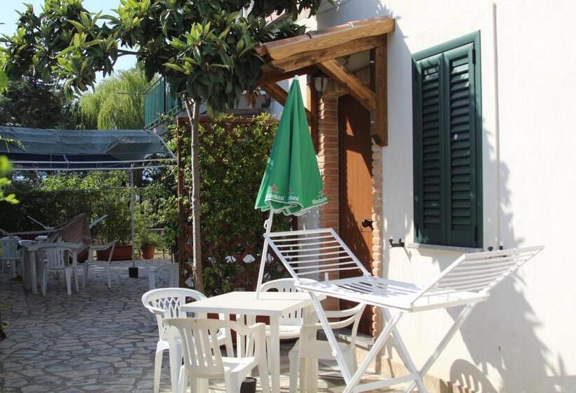 Номер Стандарт, B&b Country House Il Grappolo