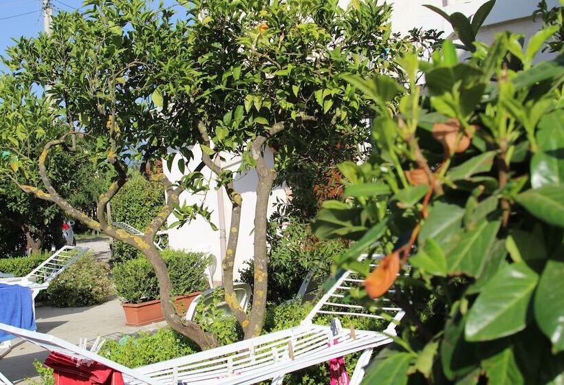 Номер Economy, B&b Country House Il Grappolo