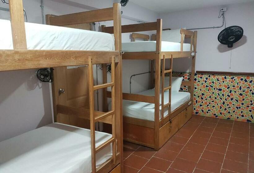 공동 객실, Purple Monkey Hostel