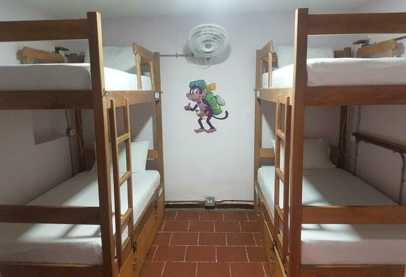 공동 객실, Purple Monkey Hostel