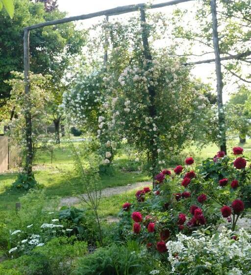 Полулюкс Вид на Сад, Tenuta Agriturismo La Borina