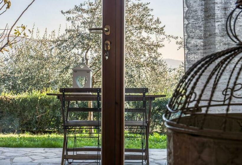 اتاق استاندارد, B&b Casa Degli Ulivi