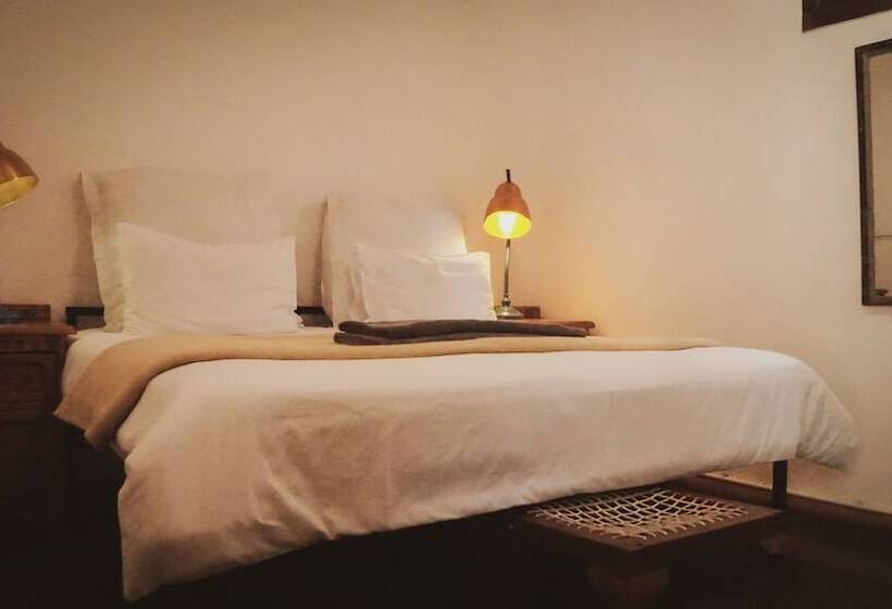 Номер Стандарт, Curiocity Backpackers Johannesburg