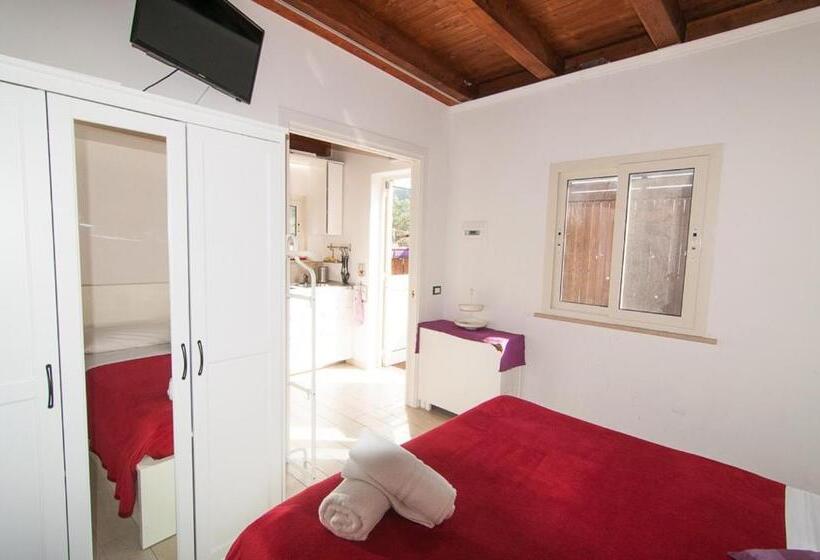 Номер Стандарт, Rifa B&b