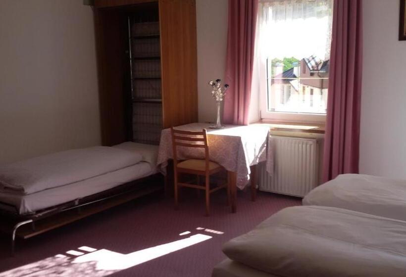 اتاق خانوادگی با سرویس بهداشتی مشترک, Albergo Alpino