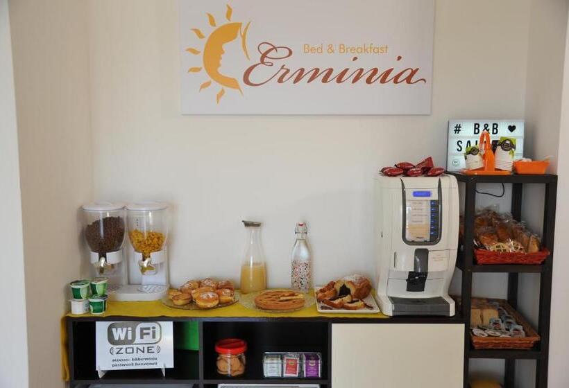 スタンダードルーム, B&b Erminia
