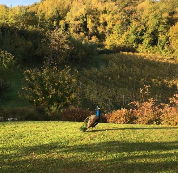 标准间带阳台, Agriturismo Lemire