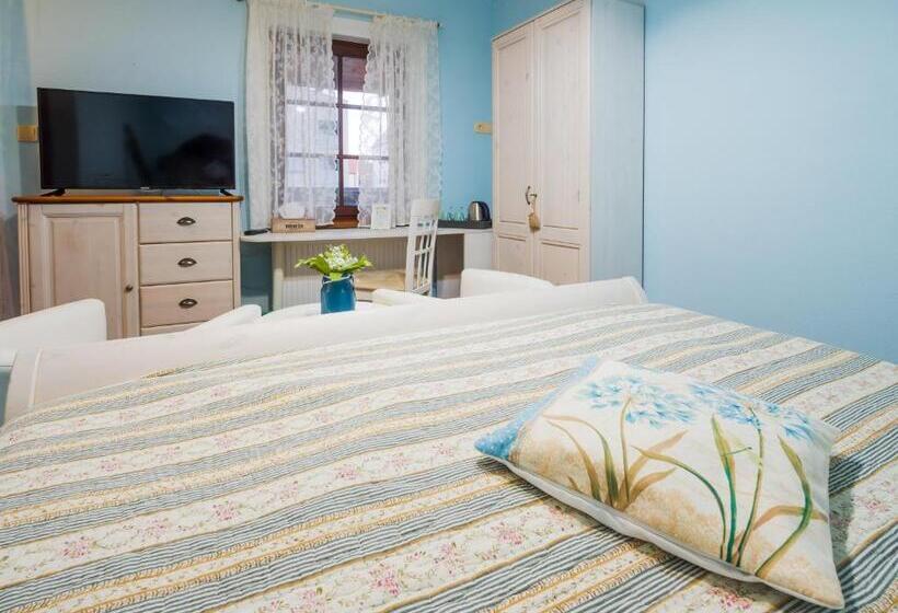 اتاق راحتی, Bonsai