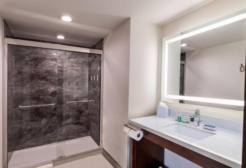 Номер Deluxe, Four Points By Sheraton Atlanta Airport West