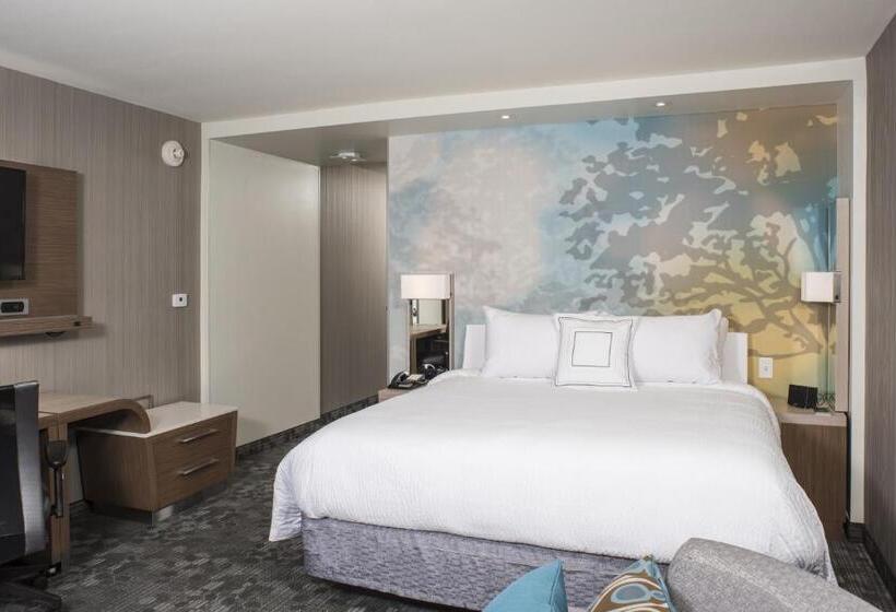 Стандартный Номер Кровать Кинг, Courtyard By Marriott Albany Clifton Park
