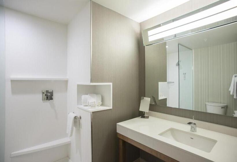 Номер Стандарт, Courtyard By Marriott Albany Clifton Park