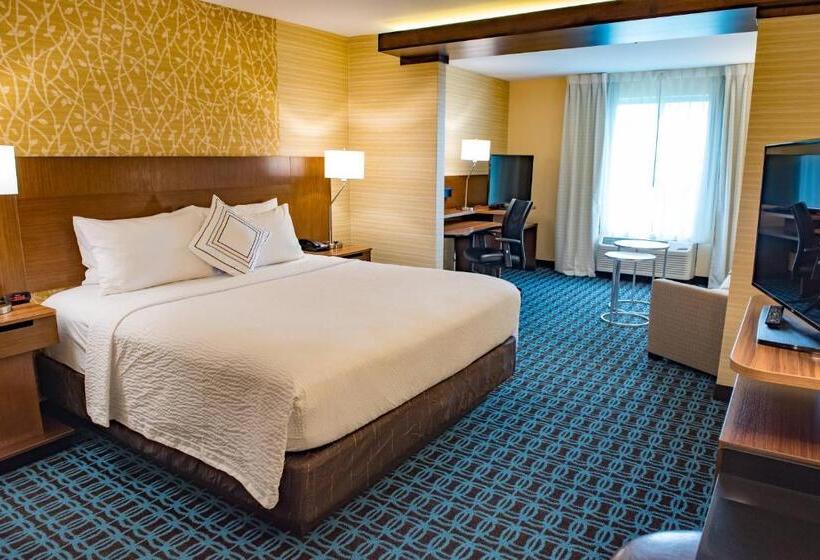 带大床的套房, Fairfield Inn & Suites By Marriott Anderson