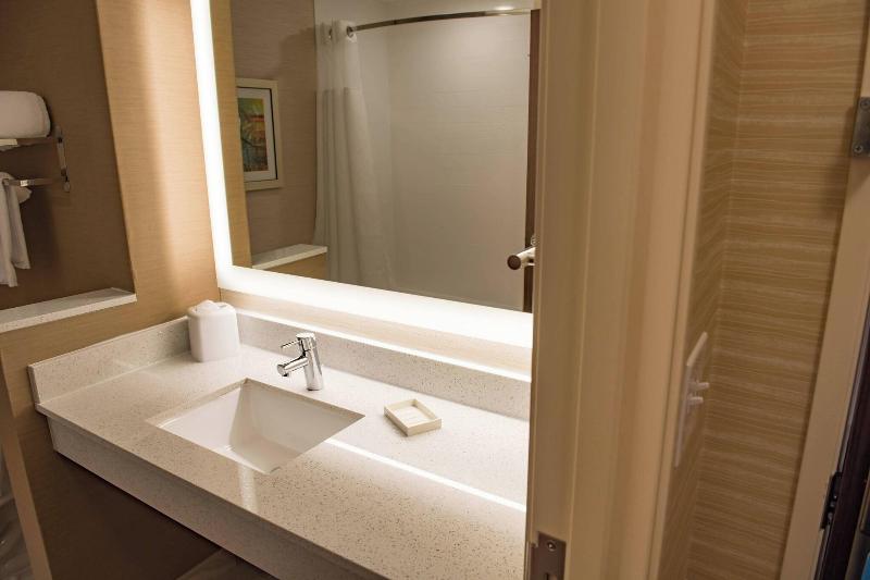 带大床的标准间, Fairfield Inn & Suites By Marriott Anderson