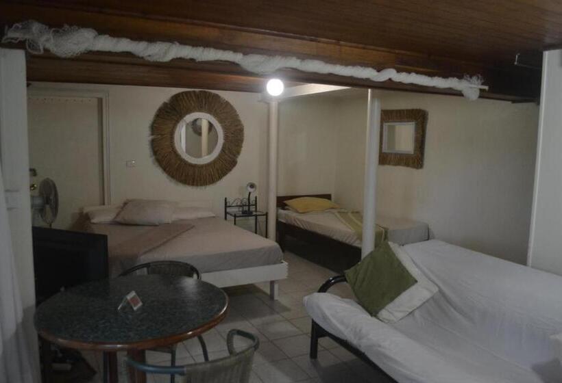 استودیو استاندارد با چشم‌انداز باغ, Seachange Lodge