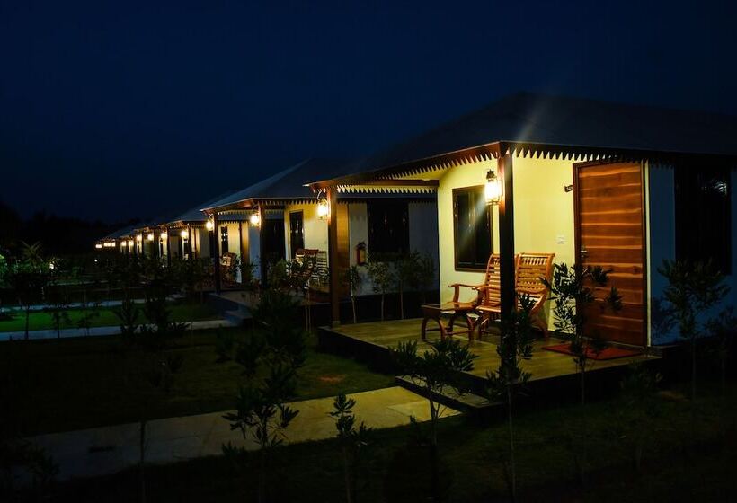 Номер Deluxe, Dream Resort