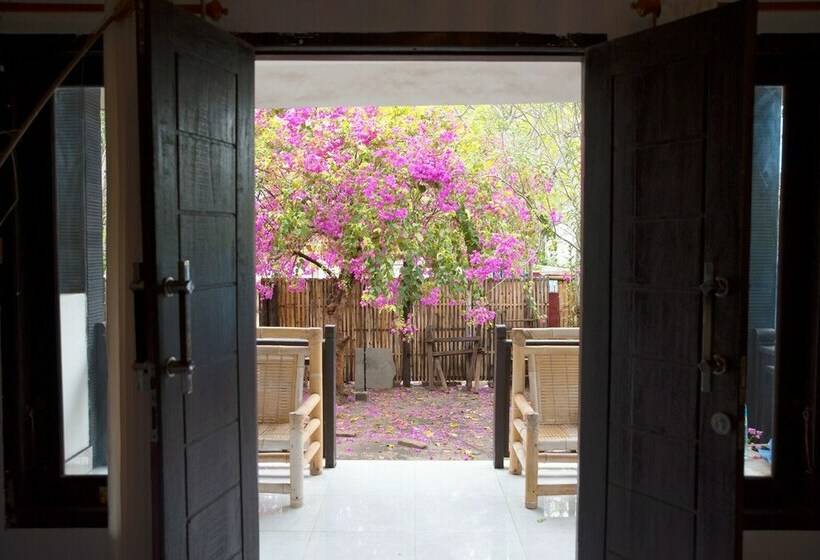 Номер Стандарт, The Rabbit Tree Hostel