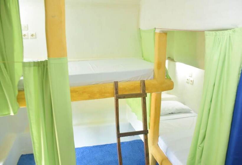 Кровать в Общей Комнате, The Rabbit Tree Hostel