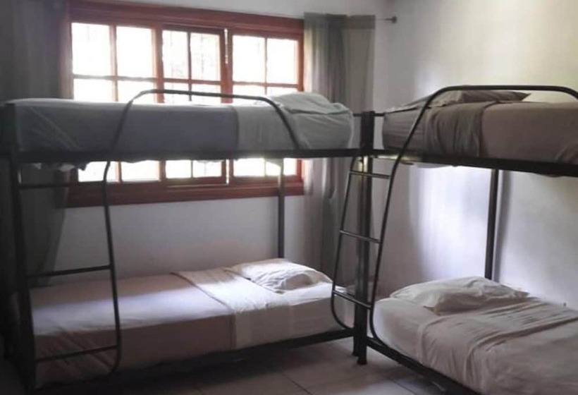 공동 객실, Hostal Gaia   Hostel