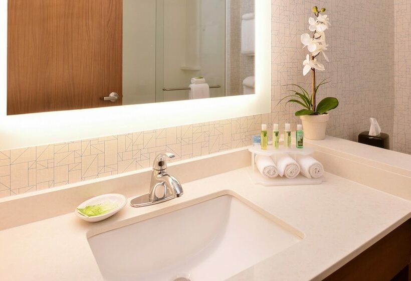 套房, Holiday Inn Express Melbourne West, An Ihg