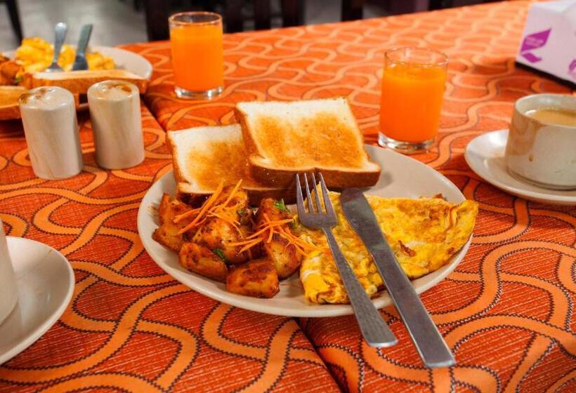 اتاق استاندارد با چشم‌انداز باغ, Sauraha Resort