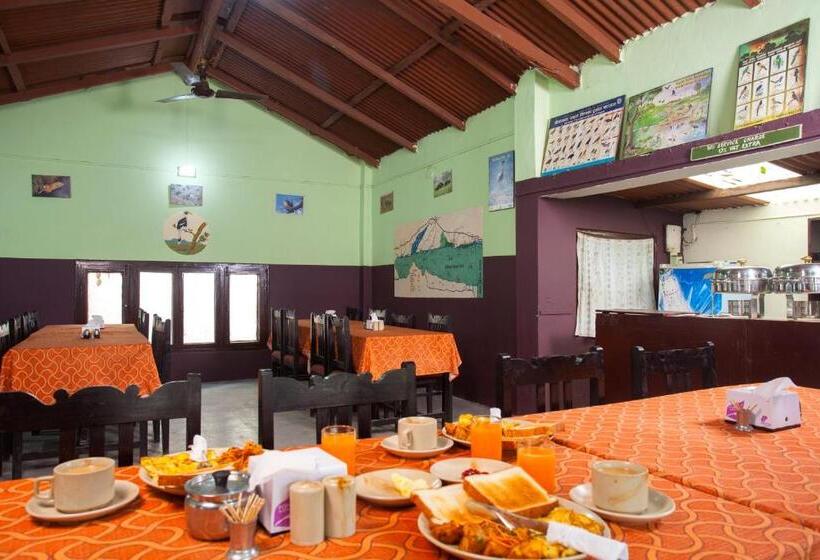 اتاق لوکس با چشم‌انداز باغ, Sauraha Resort
