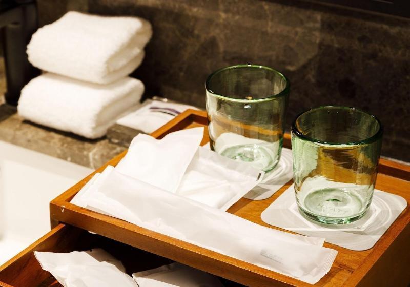 خانه 1 خوابه, Hyatt Regency Seragaki Island Okinawa