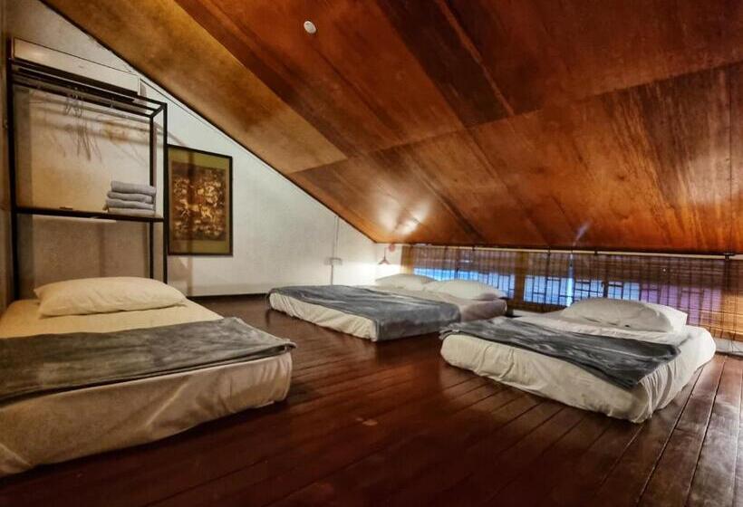 חדר בסיסי לשלושה, Treehouse Hostel