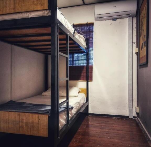 חדר בסיסי, Treehouse Hostel