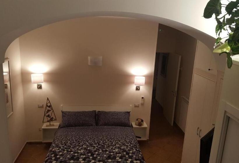 Номер Стандарт, Casacri