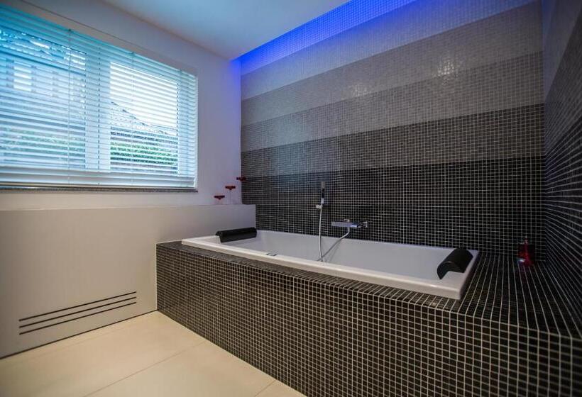 استودیوی استاندارد, Wellness Hasselt B&b