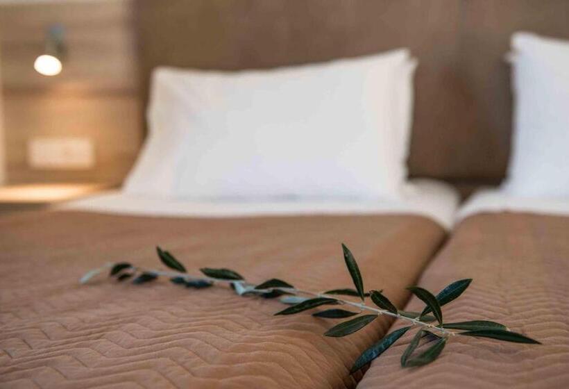 Студия Стандарт, Gerona Mare Apartments